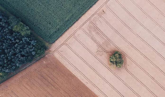 Jak szybko znaleźć numery działek i uniknąć niepotrzebnych problemów