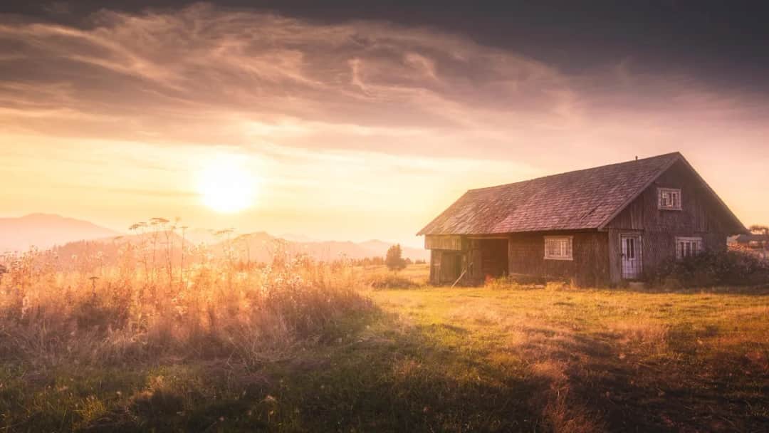 Co to jest działka siedliskowa? Poznaj jej cechy i zastosowanie